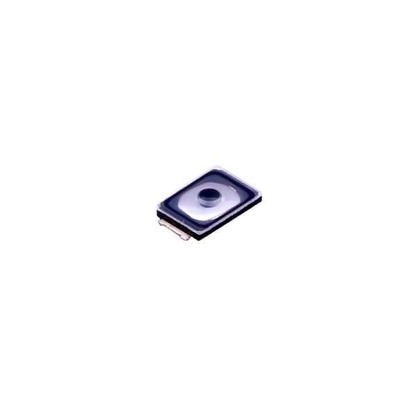 2 Pin Switch Big